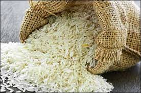 ۱۹ نوع برنج آلوده وارد کشور شده است