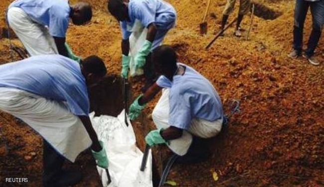 یک درخت عامل گسترش بیماری ابولا!