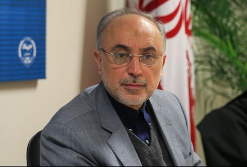صالحی: فکت شیت ایران در دست ظریف است