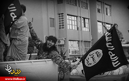 جریان شناسی الگوهای جهاد در داعش
