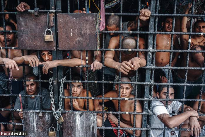 تصاویر/ تبهکاران مخوف «السالوادور» در قفس
