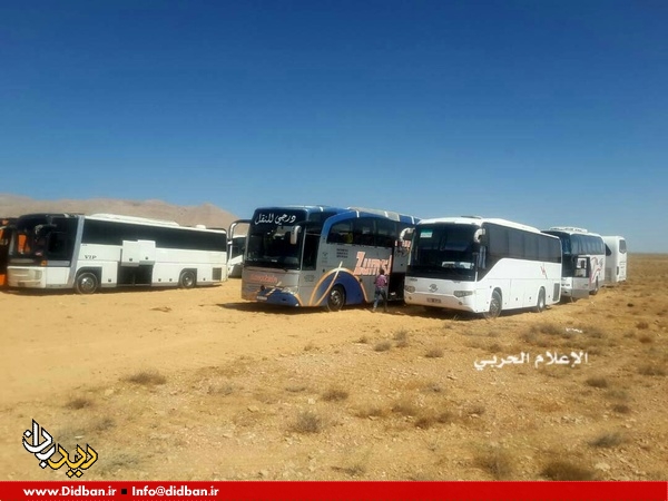  اتوبوس‌های حامل عناصر داعشی به محل تبادل رسید