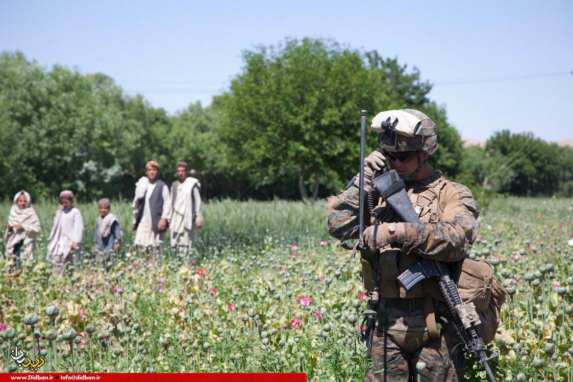 اختصاصی / افزایش تولید مواد مخدر در سایه حضور سی آی ای در افغانستان