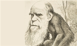 نقد و بررسی انسان‌شناسی داروین براساس حکمت متعالیه