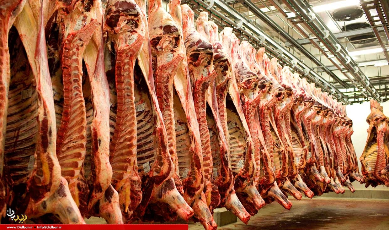 واردات گوشت گاو در اوج به هم ریختگی بازار نصف شد + جدول