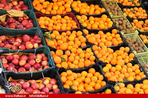 توزیع سیب و پرتقال شب عید از امروز با ۱۰ تا ۲۰درصد تخفیف 