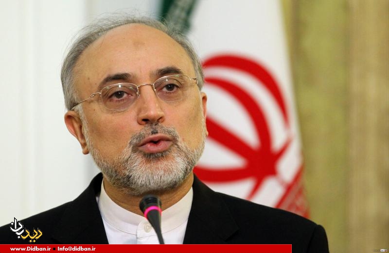 صالحی: ایران با درایت و صبوری دست آمریکا را رو کرد