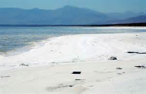 کمک میلیون دلاری ژاپن به دریاچه ارومیه